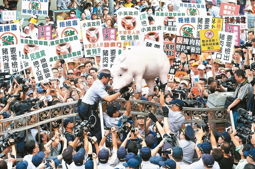 2016年豬農為抗議政府有意開放含萊克多巴胺美豬進口，集結在立法院外抗議。 圖／聯合報系資料照