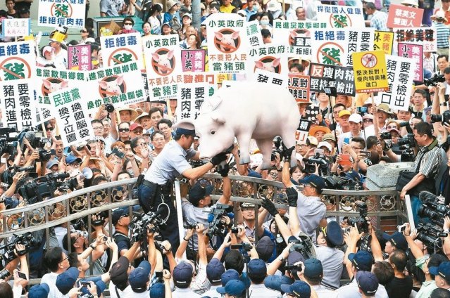 2016年豬農為抗議政府有意開放含萊克多巴胺美豬進口，集結在立法院外抗議。 圖／聯合報系資料照