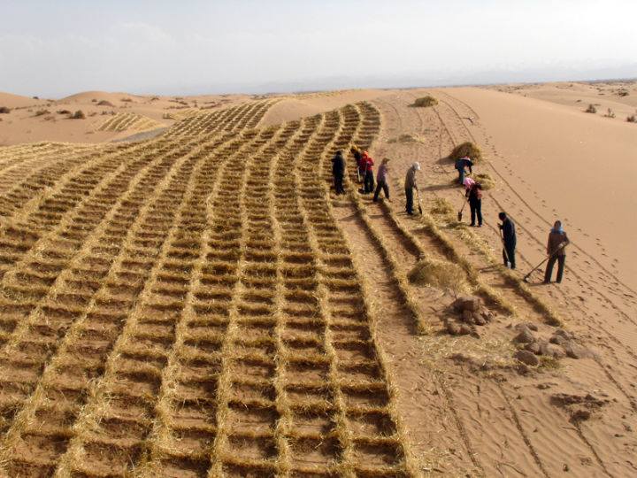 植樹造林的研究2