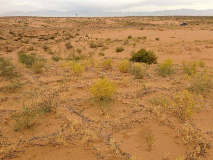 植樹造林的研究3